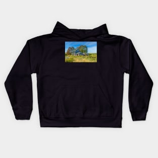 Abandoned House, Wentworth Valley, Nova Scotia Kids Hoodie